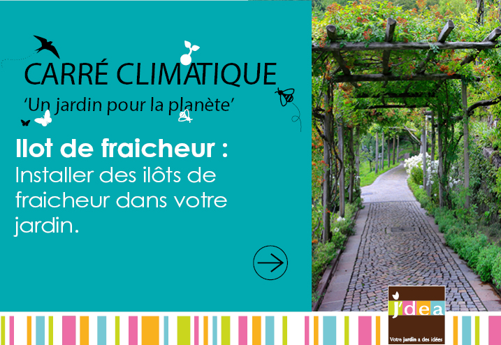 Carré Climatique - Ilot de fraicheur : Installer des îlots de fraicheur dans votre jardin.